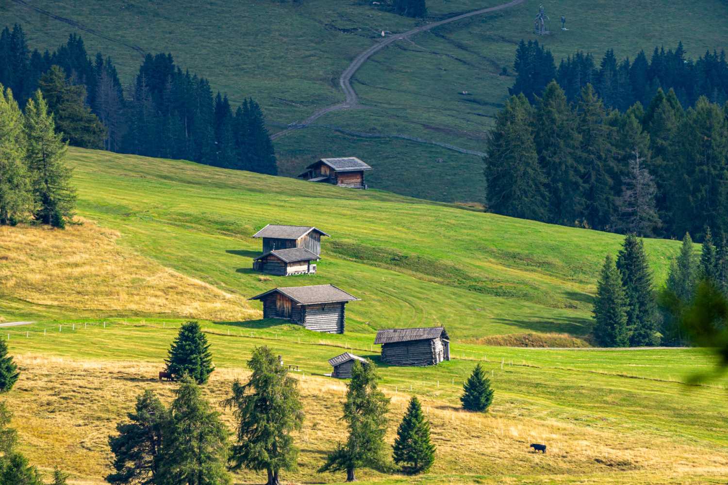 能源管理系統，城市綠色發展，節能減排